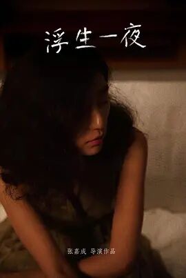 浮生一夜免费观看