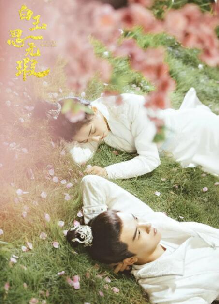 白玉思无瑕免费观看