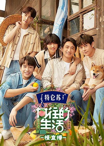 向往的生活5 慢直播免费观看