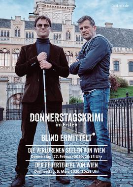 盲探追缉：失魂之城免费观看