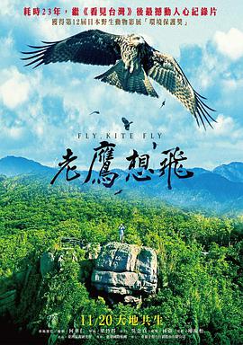 老鹰想飞免费观看