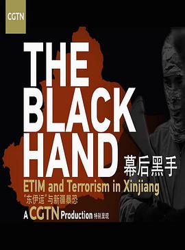 幕后黑手——“东伊运”与新疆暴恐免费观看