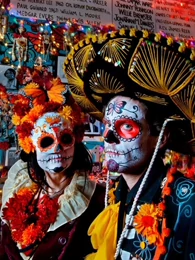 野性墨西哥 Wild Mexico免费观看