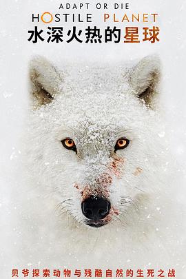 水深火热的星球 第一季免费观看