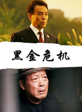 黑金危机免费观看