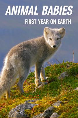 萌宝出生第一年免费观看