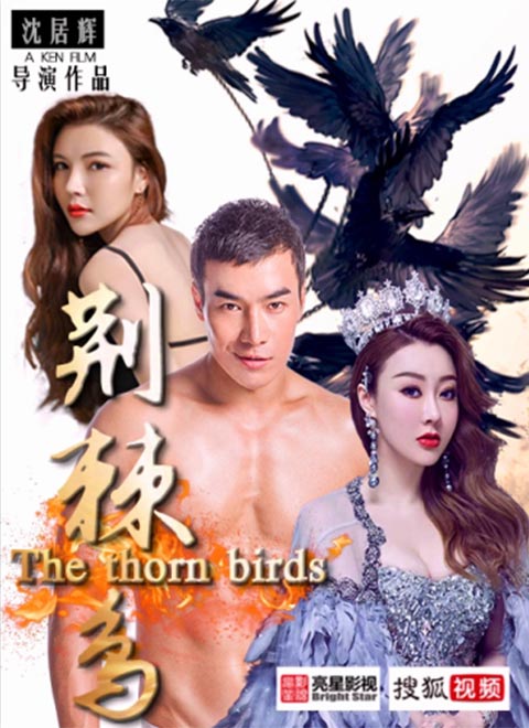 荆棘鸟免费观看