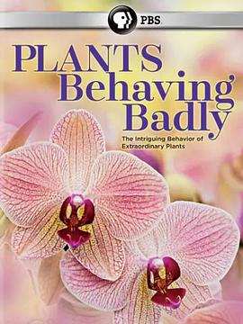 行为恶劣的动物 第一季免费观看