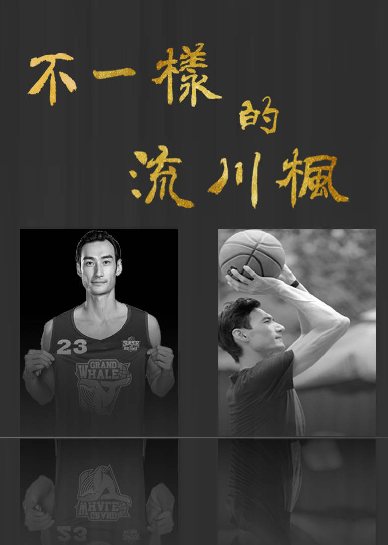 不一样的流川枫免费观看