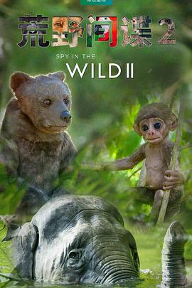 荒野间谍 第二季免费观看