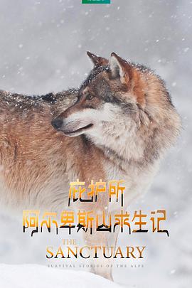 庇护所：阿尔卑斯山求生记免费观看