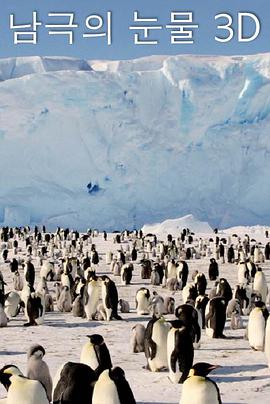 南极之泪免费观看