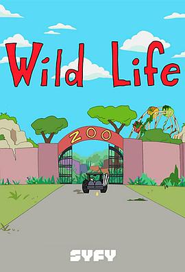 野生动物 第二季免费观看