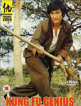 天才功夫免费观看