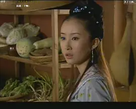 鸡祥如意免费观看