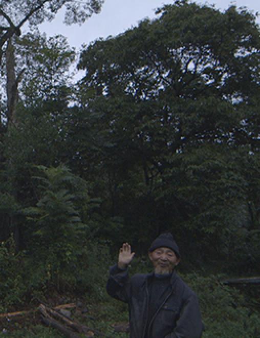 世界语法免费观看