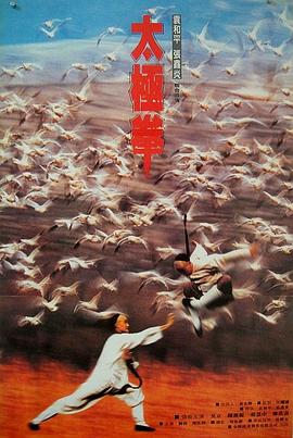 功夫小子闯情关(修复版)免费观看