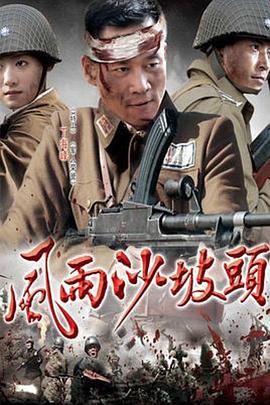 风雨沙坡头免费观看