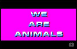 我们是野兽免费观看