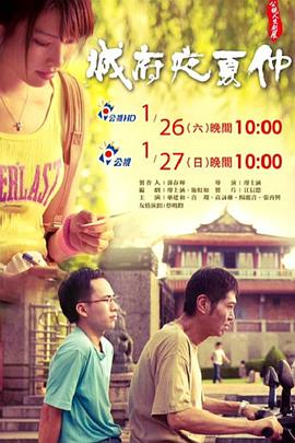 仲夏夜府城免费观看