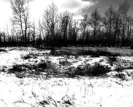 溃烂 愈合 掩藏 潰爛 癒合 掩藏免费观看