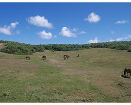 云之国 雲之國免费观看