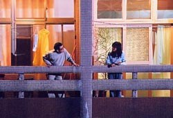 终身大事免费观看