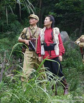 智取华山传奇免费观看