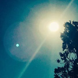 记忆屋免费观看