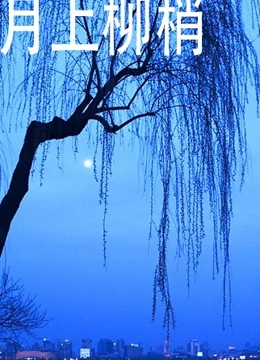 月上柳梢免费观看
