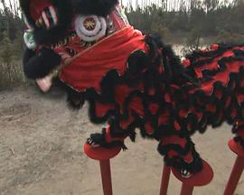 少年狮王免费观看