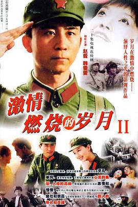 激情燃烧的岁月2免费观看