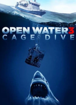 鲨笼潜水免费观看