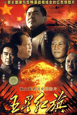 五星红旗迎风飘扬免费观看