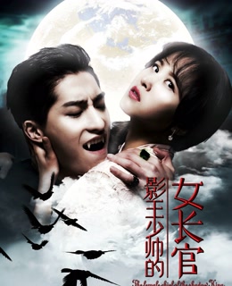 影王少帅的女长官免费观看