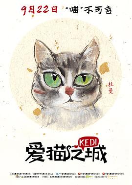 爱猫之城纪录片免费观看