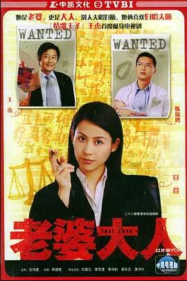 老婆大人国语免费观看