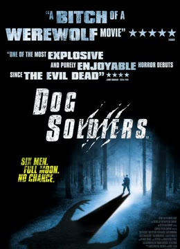 闪灵战士免费观看