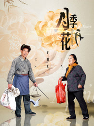 月季花开免费观看