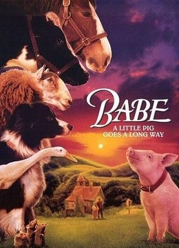 猪宝贝免费观看