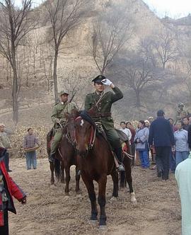 浴血玫瑰免费观看