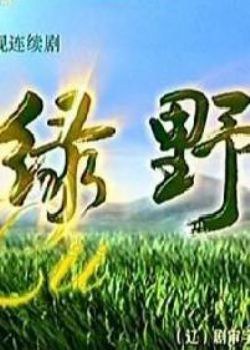 绿野免费观看