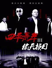 四平青年3偷天换日免费观看