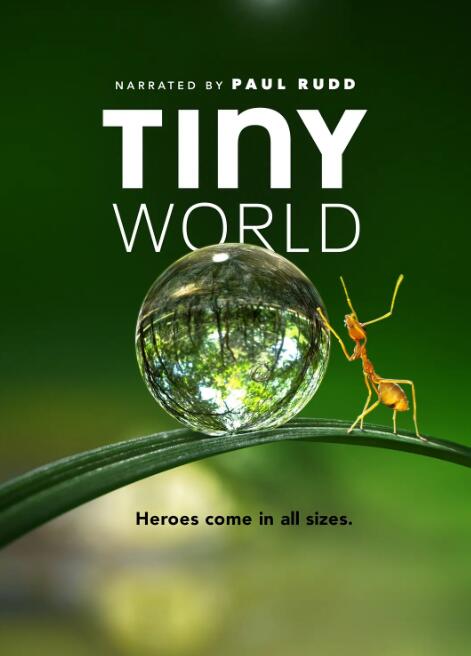 小小世界第一季免费观看