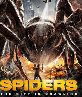 巨型蜘蛛免费观看