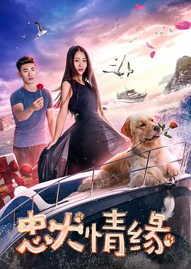 忠犬情缘免费观看