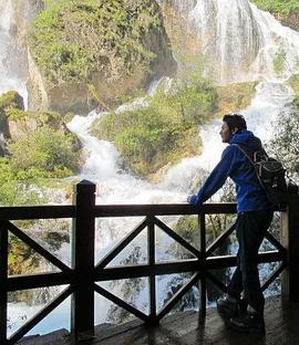 地球纪行~熊猫的故乡免费观看