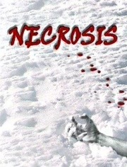 实体幽灵免费观看