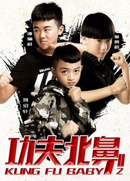 功夫北鼻2免费观看