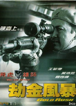 飞虎雄师4之劫金风暴免费观看